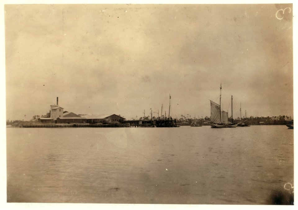 Canning Factory of the Alabama Canning Co.,. LOC nclc.00803