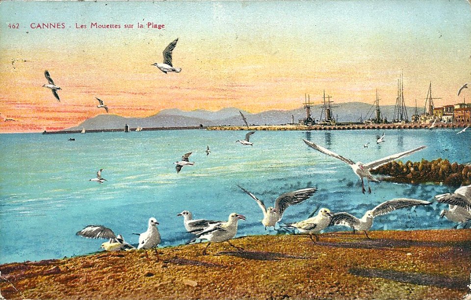 Cannes-CP-anté20-34