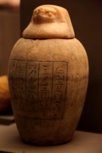 Canopic jar of Horuahibre with falcon plug-MAHG D 58-IMG 1809
