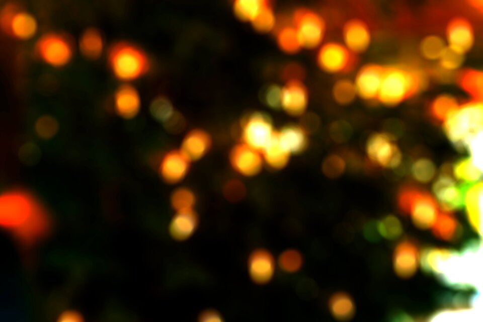 Tree lights blur