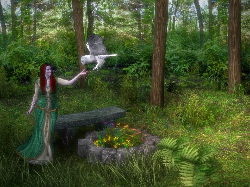 Nature landscape magic