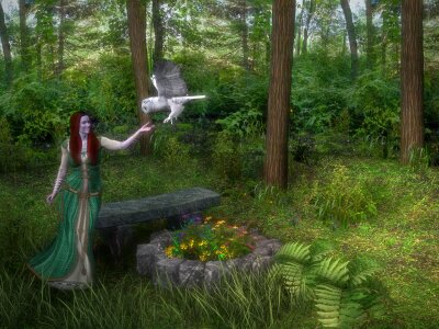 Nature landscape magic
