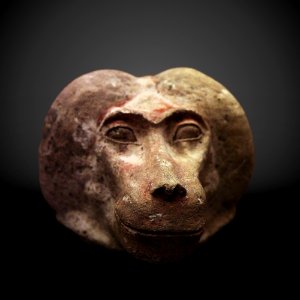 Canopic jar plug shaped as monkey head-MAHG 023460-IMG 1803-gradient