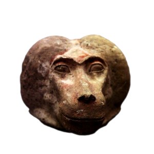 Canopic jar plug shaped as monkey head-MAHG 023460-IMG 1803-white