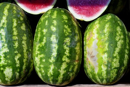 Pulp citrullus lanatus ovary