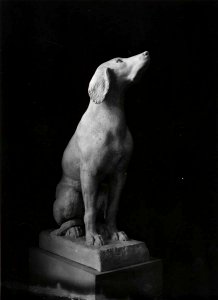 Canova - Cane, Museo Canova, Gipsoteca, 81802