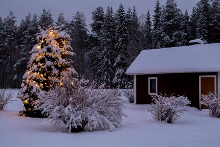Christmas cottage blue for a while