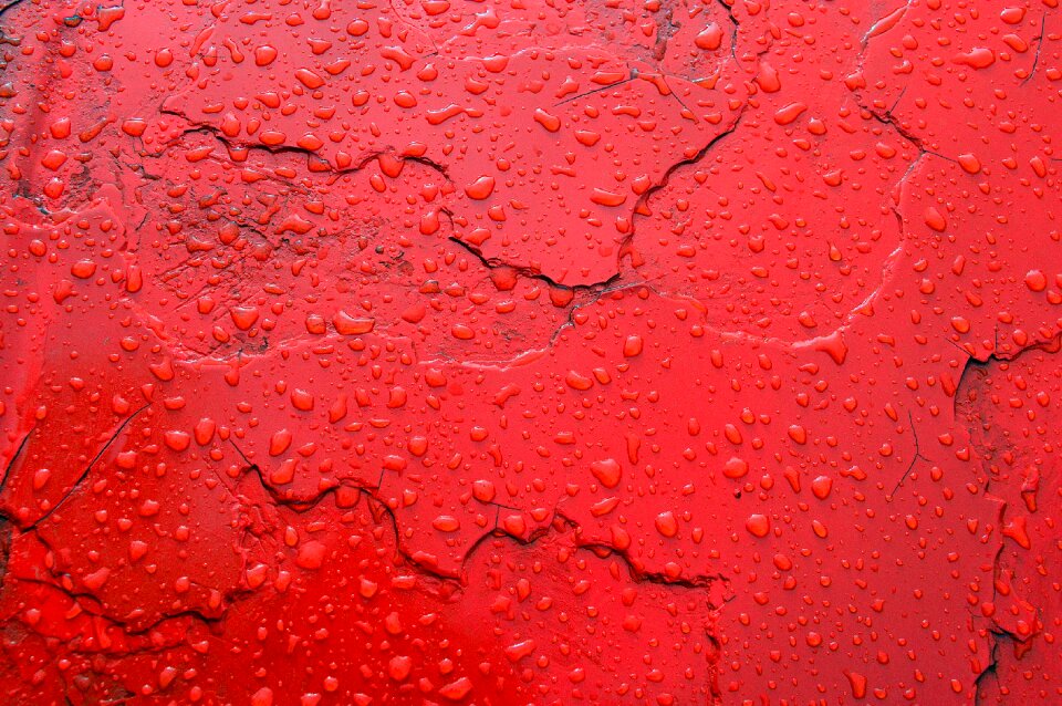 Red just add water water