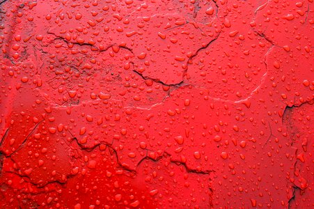 Red just add water water