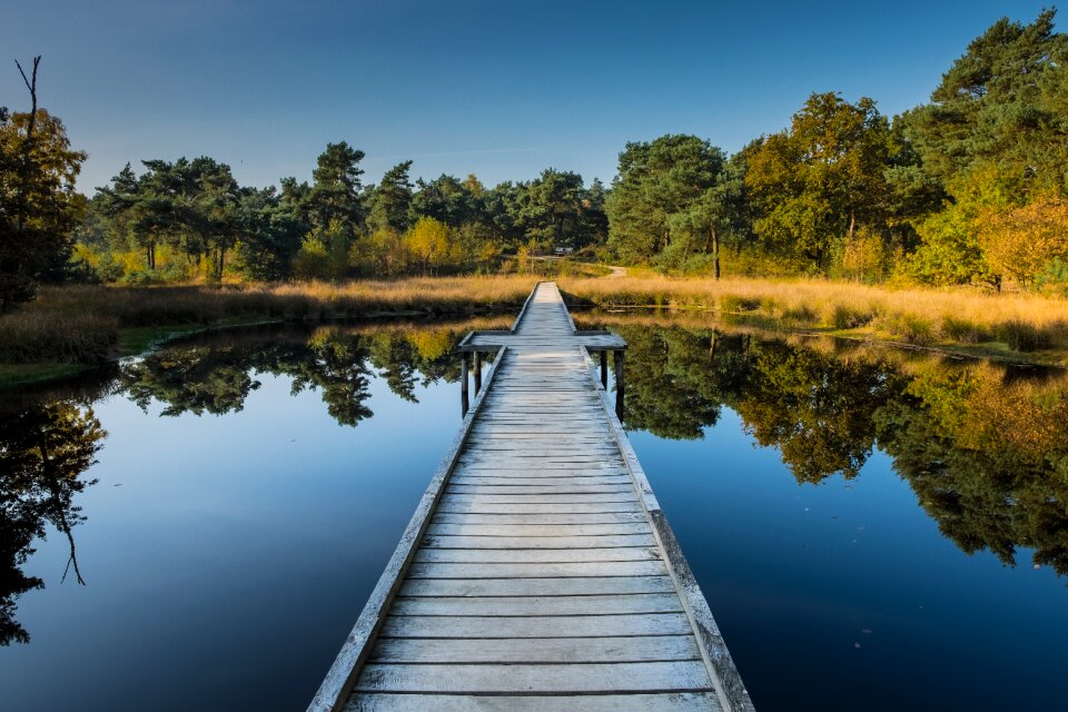 Holland mood vacations