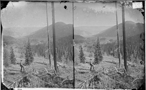 CANYON, VALLEY OF THE CONEJOS RIVER, LOOKING SOUTH FROM VICINITY OF LOST LAKES, COLORADO - NARA - 524059