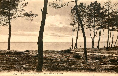 Cap-Ferret - au bord de la mer