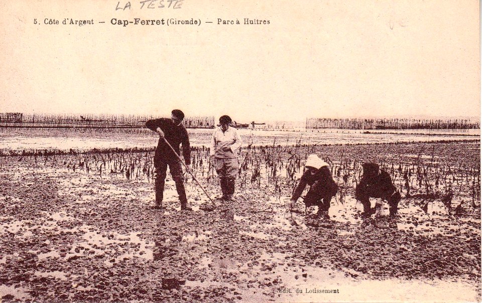 Cap-Ferret - Parc à Huitres