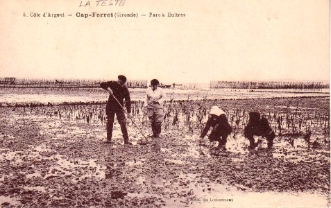 Cap-Ferret - Parc à Huitres