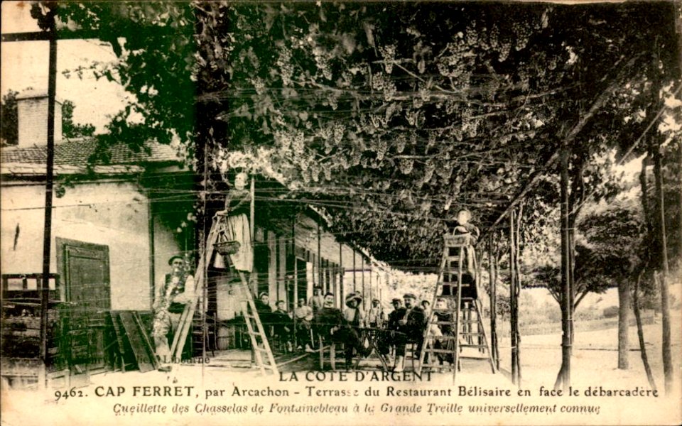 Cap-Ferret - Restaurant Bélisaire