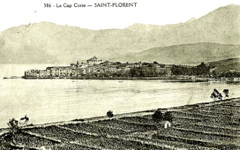 Cap corse Vignoble de Saint-Florent photo