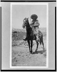 Capt. Castello, of the guard of honor LCCN95508653