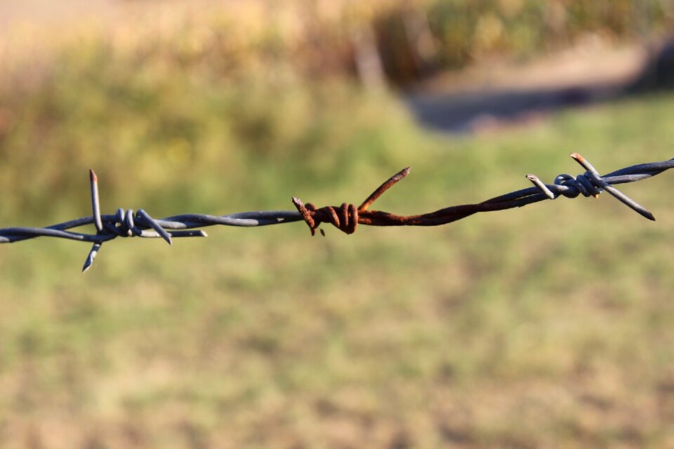 Wire kocaeli turkey