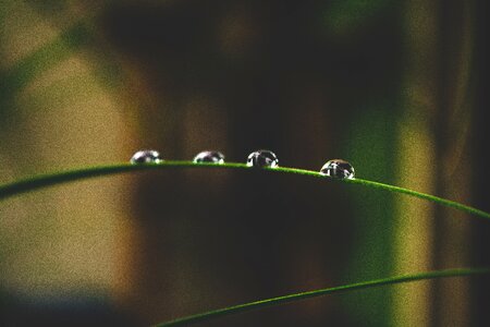 Nature drop of water raindrop
