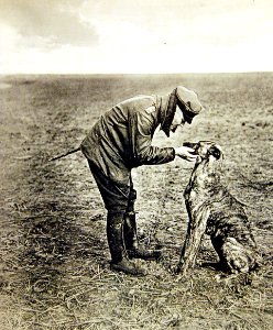 Captain Manfred Baron von Richthofen with dog, Germany, WWI (29345003121)
