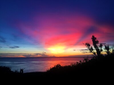 Sunset sea tree photo