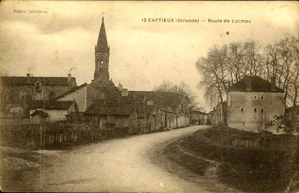 Captieux - route de Lucmau