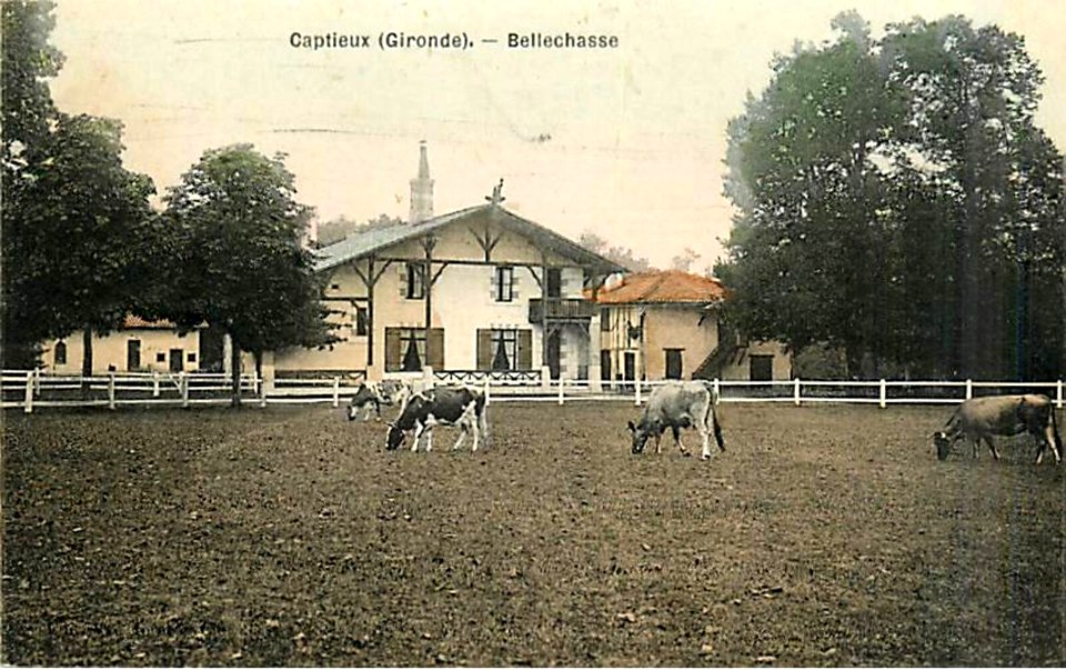 Captieux - Belle-chasse 1c