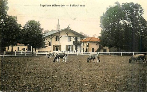 Captieux - Belle-chasse 1c