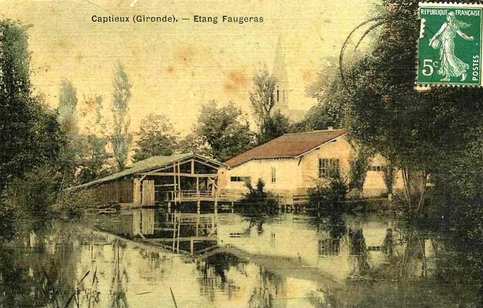 Captieux - étang Faugeras a