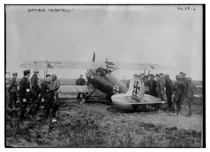Captured Albatross LCCN2014719486