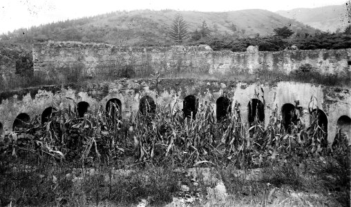 Capuchinasyas1910