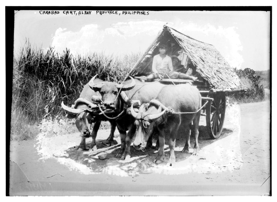 Carabao Cart, Albay Province, Philippines LCCN2014690052