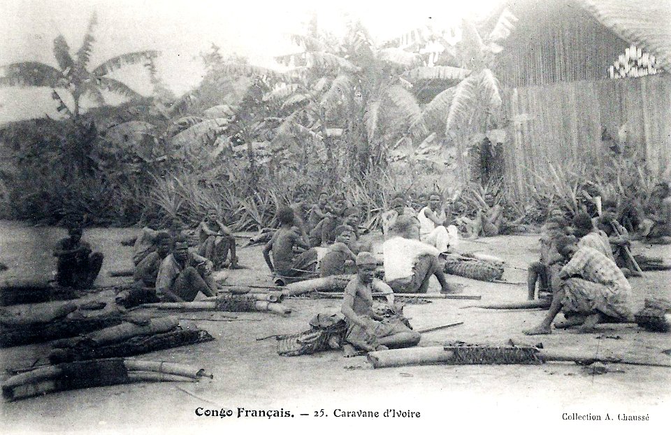 Caravane d'ivoire-Congo Français