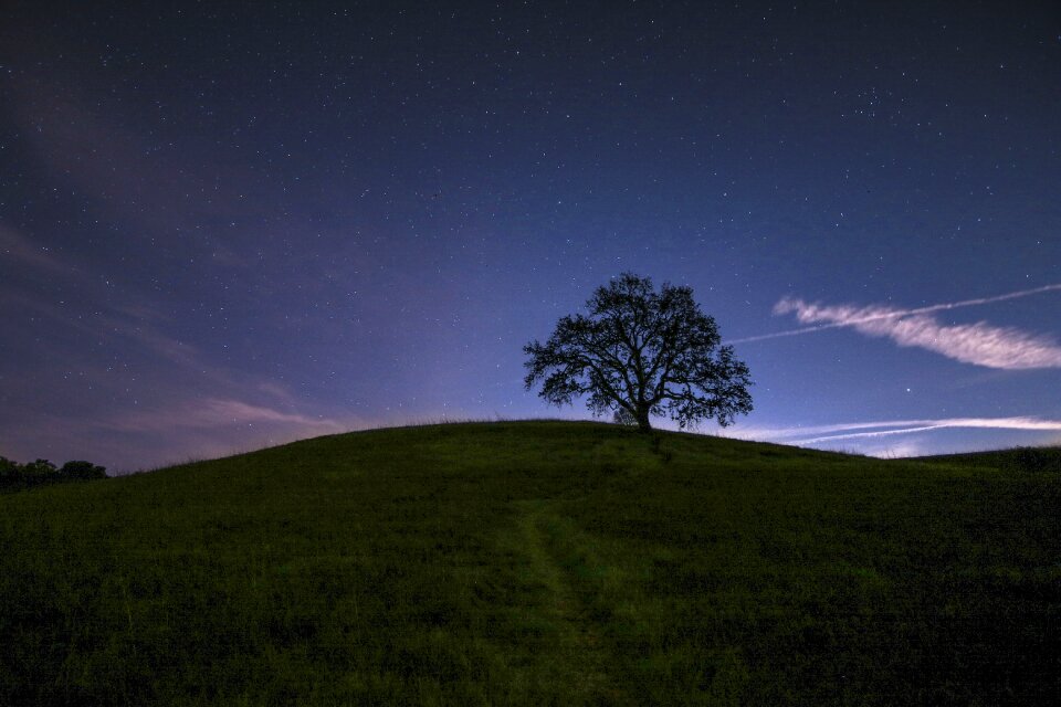 Shadow trees travel