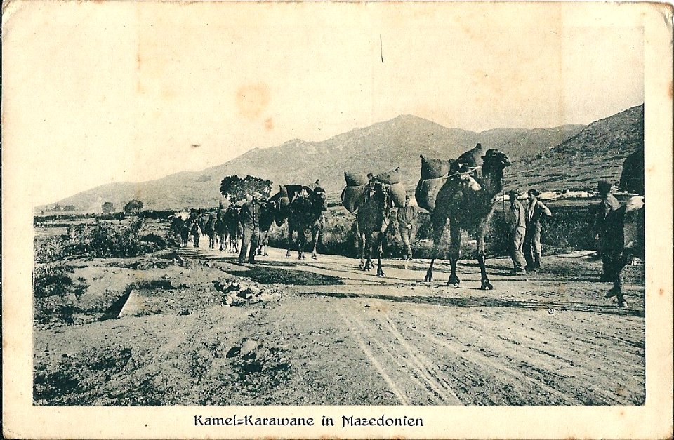 Caravane-Chameaux-Macédoine 1919
