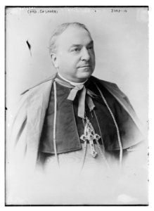 Card. Gasparri LCCN2014697138