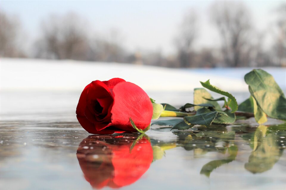 Love symbol romance winter