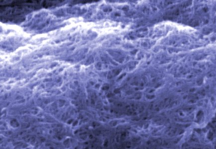 Carbon Nanotube Measurements (5887265427) photo