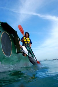 Cardboard Box Boat Regatta DVIDS94268