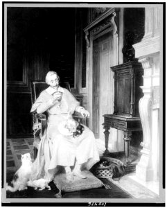 Cardinal Richelieu, full-length portrait, seated, facing front, with three kittens on his lap) - photo, T.W. Ingersoll, St. Paul LCCN90712593