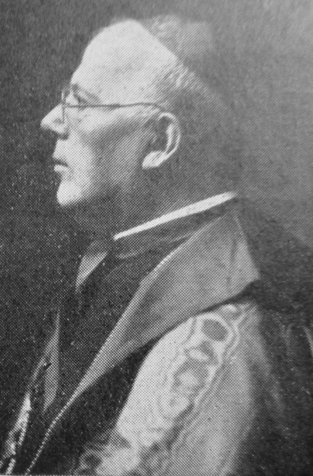 Cardinal Dolci