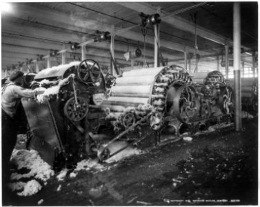 Carding wool LCCN2005694559