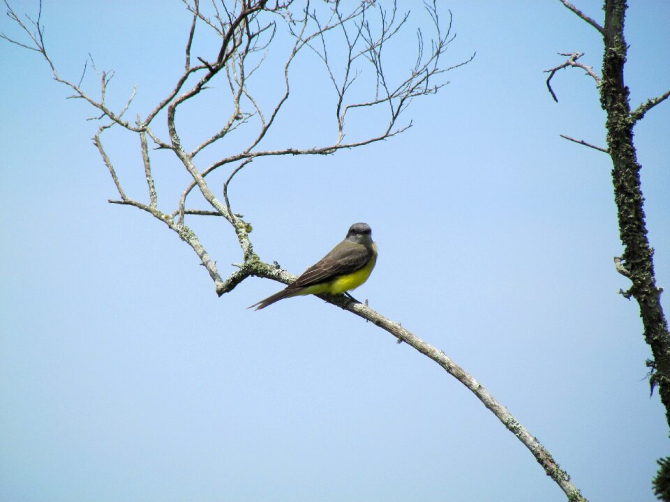 Of florianópolis brazil