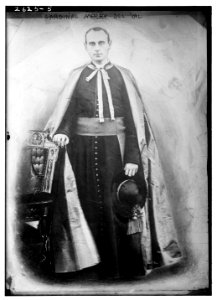 Cardinal Merry Del Val LCCN2014692472