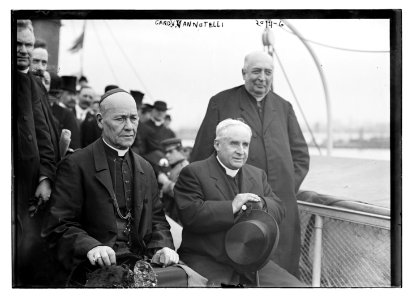 Cardinal V. Vannutelli LCCN2014687991