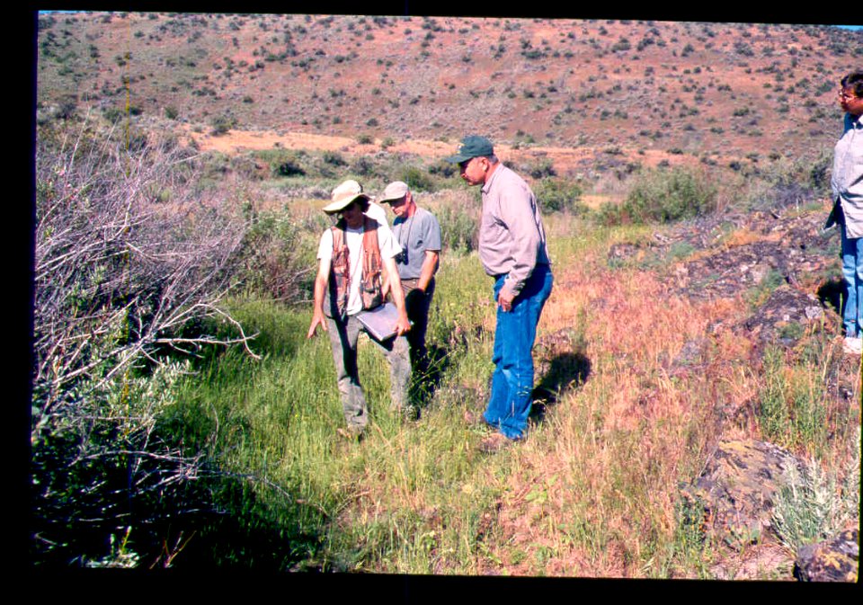 Carex aboriginum site and people in SW Idaho