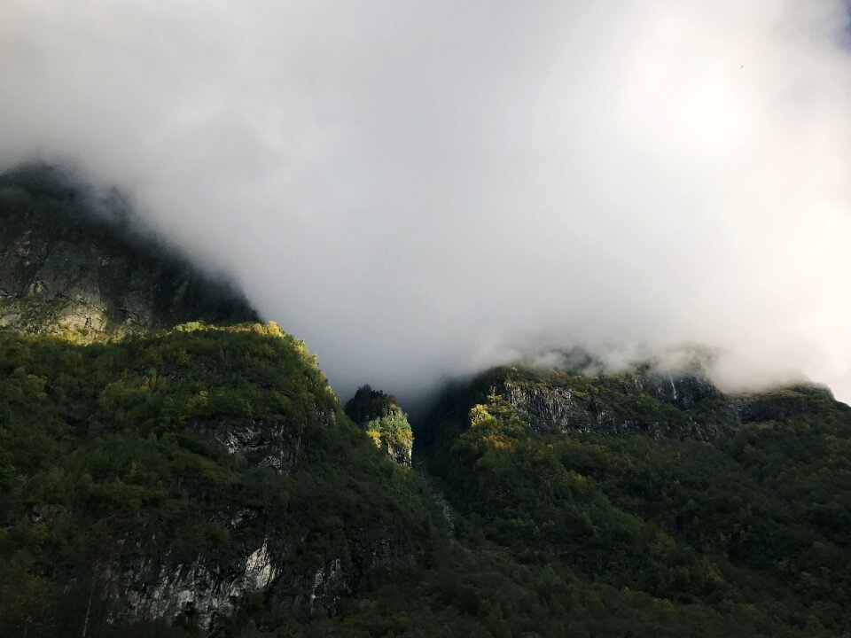 Nature landscape forest