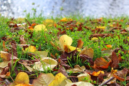 Scenery seasons of the year colors