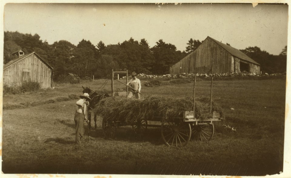 Carl Brown, eleven years old. He and his father run a farm of 160 acres, in Southern Vermont. He is overgrown, sluggish, but he said- 'I'd ruther go to school.' See Hine Report, Rural Child LOC cph.3a38573