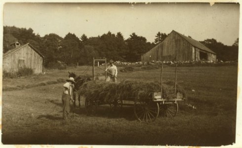 Carl Brown, eleven years old. He and his father run a farm of 160 acres, in Southern Vermont. He is overgrown, sluggish, but he said- 'I'd ruther go to school.' See Hine Report, Rural Child LOC cph.3a38573